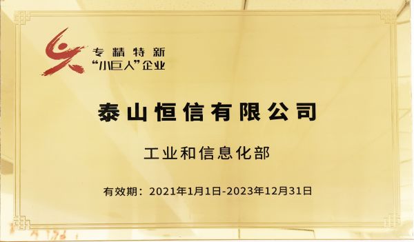 國家專精特新“小巨人”企業(yè)